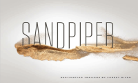 Sandpiper Destination